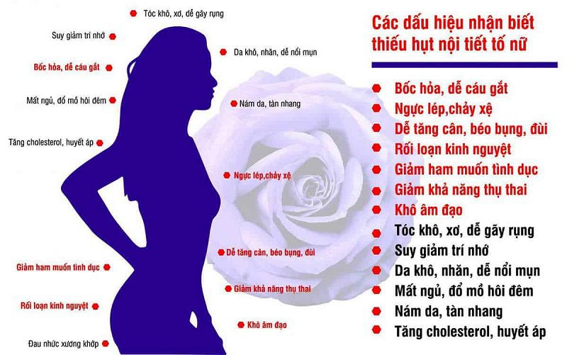 bieu hien cua chung roi loan noi tiet to nu nhu the nao