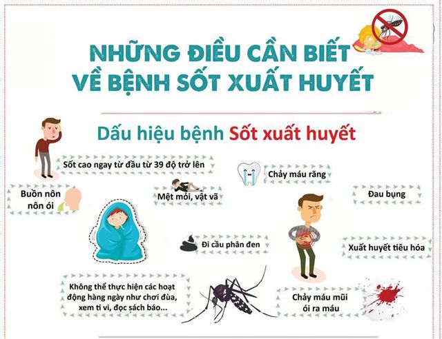 những điều cần biết về sốt xuất huyết
