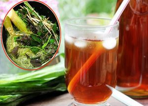 Nước mía lau, mã đề luôn là lựa chọn đầu tiên trong mùa nắng nóng