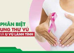 9819440f7365903bc974 2