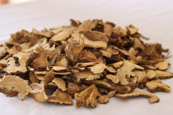 Bài thuốc bổ khí kiện tỳ, an thai bằng bạch truật