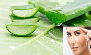 Bật mí 7 tác dụng làm đẹp từ nha đam bạn nên biết