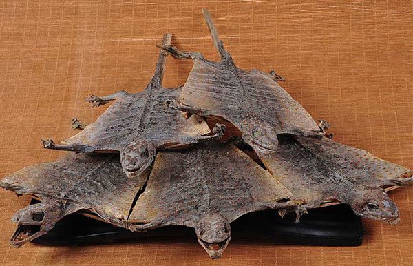 Bài thuốc hay từ vị thuốc độc, lạ Cáp giới