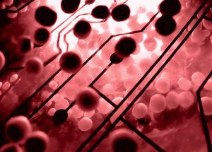 Chuyên gia Điều dưỡng cho biết bệnh viêm họng do liên cầu là gì ?