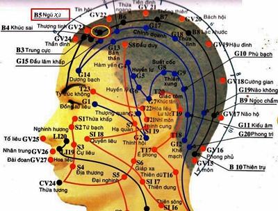 huyệt ngũ xứ
