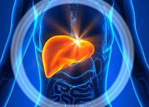 Phải làm gì để có một lá gan khỏe mạnh và làm tốt vai trò ?