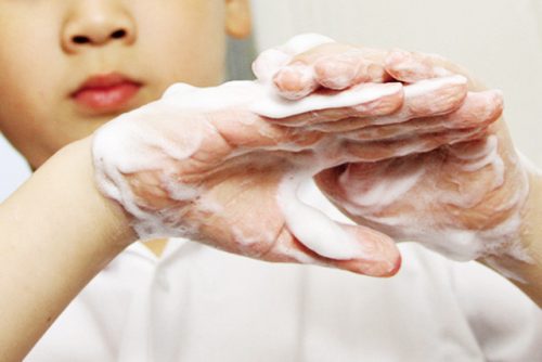 Các biện pháp phòng chống dịch sán lá phổi cần thiết