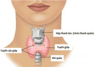 suy ce1baadn gic3a1p 2