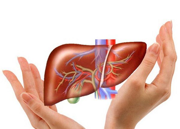 Tăng cường chức năng của gan là việc ai cũng nên làm