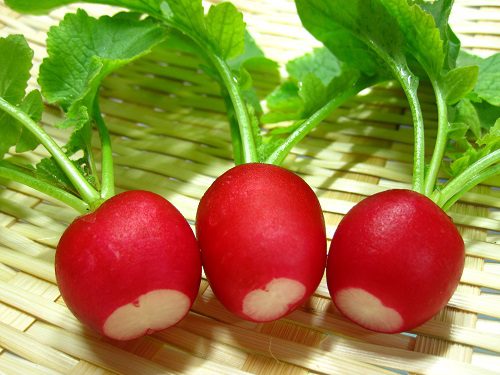 Củ cải đường tốt cho người bị cao huyết áp