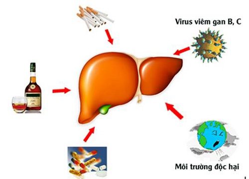 Cần tránh xa các chất kích thích độc hại