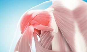 Khi hoạt động khớp vai quá nhiều bạn có thể bị tổn thương ?