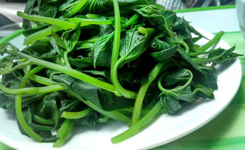 khoai lang chua benh 1
