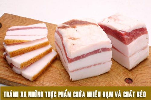 mo dong vat
