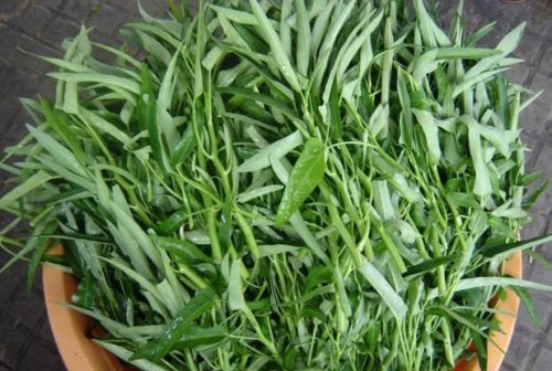 Rau muống là thực phẩm số 1 chị em văn phòng không nên bỏ qua