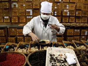 ngành y học cổ truyền lên ngôi