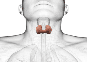 20200427 150523 074767 tuyengiap.max 1800x1800 1