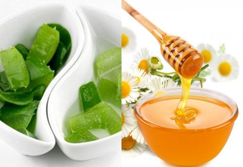 bac si noi gi ve toa thuoc chua ung thu tu lo hoi va mat ong 1 e1503935180726