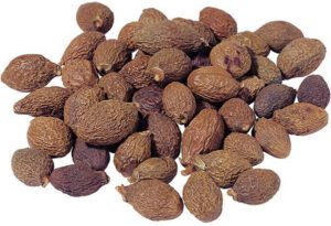 Bàng đại hải là quả của cây đười ươi, cây ươi, lười ươi,...