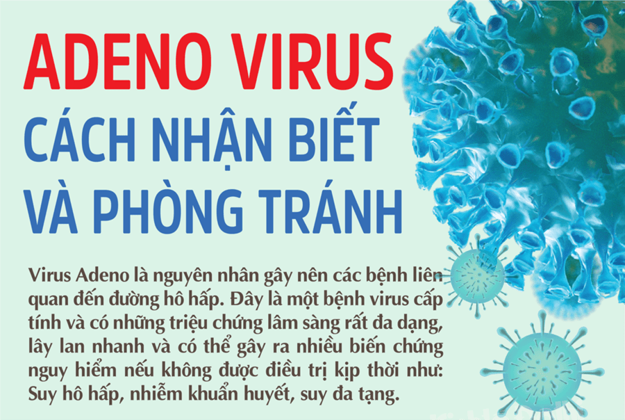 Adeno virus chia làm 7 nhóm từ A-G