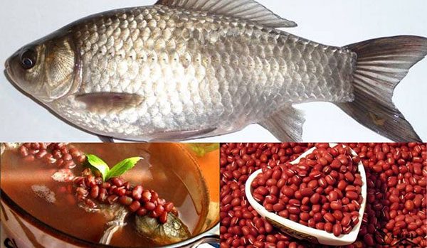 Món ăn thuốc cá diếc hầm đậu đỏ