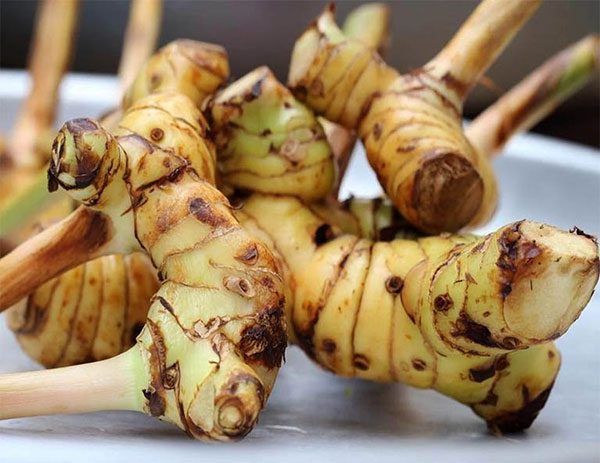 Cao lương khương tác dụng ấm dạ dày, cầm nôn