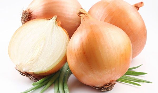 Củ hành tây có tác dụng long đờm