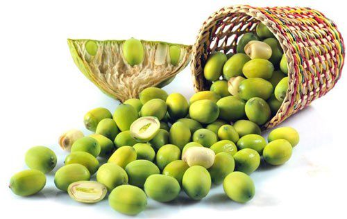 Tác dụng của hạt sen với sức khỏe con người