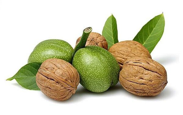 Hồ đào nhục được dùng trong nhiều bài thuốc y học cổ truyền