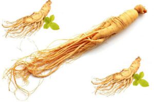 Vị thuốc nhân sâm