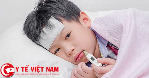Hướng xử trí khi bị viêm não Nhật bản