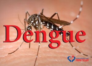 Phân biệt giữa sốt xuất huyết và sốt siêu vi