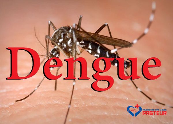Phân biệt giữa sốt xuất huyết và sốt siêu vi