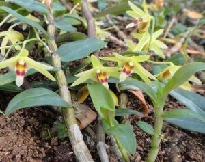 best d333d2ec47 1 100 3565.JPG