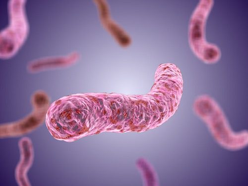 Giai đoạn mầm bệnh đang phát triển không ngừng
