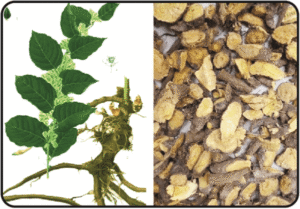 cot khi cu 2 e1596012119750