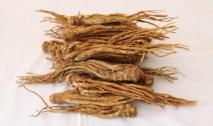 duong quy 2 e1590224550881 1