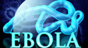 ebola 191014 75786 1