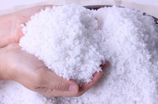 Điều trị bằng xương rồng và muối hạt cho người thoát vị đĩa đệm