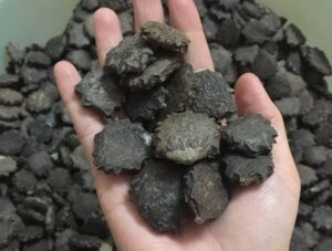 hat gac 1 e1592644532575 1