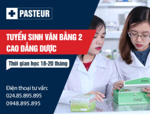 hoc van bang 2 duoc si ho xet tuyen gom nhung gi