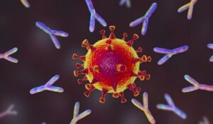 khang nguyen khang the la gi phan loai va su khac nhau 202207091935230693