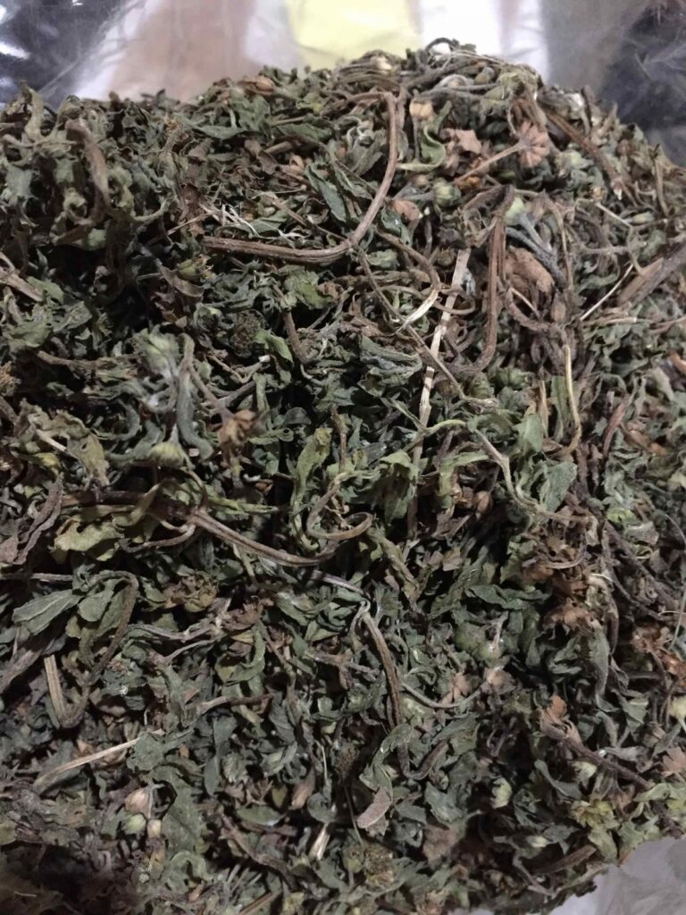 Y học cổ truyền hướng dẫn điều trị chứng đại tràng thấp nhiệt 3 nho noi 1 1200x1600 1