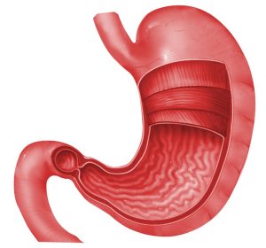 Khi dạ dày rỗng bạn không nên ăn những loại thực phẩm nào?