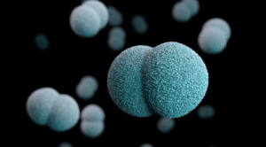 screenshot 1718506419 1