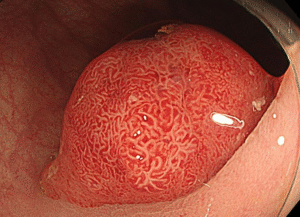 screenshot 1722740831