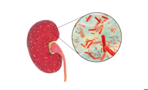 screenshot 1734938526 1