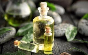 tinh dau tram e1598777648328 1