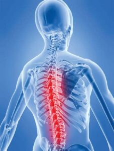 Giảng viên YHCT mách mọi người một số bài thuốc trị đau xương khớp