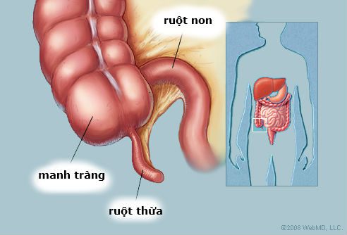viem-ruot-thua